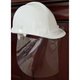 Portwest Gelaatsscherm helder CV19